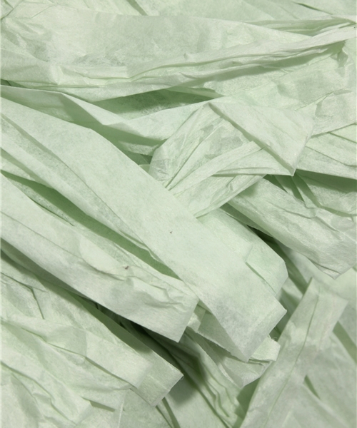 Another Edition（アナザーエディション）の「AE 2WayFrangePP TOTE（ショルダーバッグ・レディース・ライム/イエロー・フリー）」の9枚目の写真