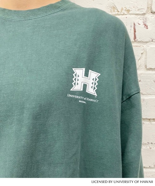 GOOD ROCK SPEED(グッドロックスピード)の「HAWAII TEE(Tシャツ/カットソー・レディース・グリーン・FREE)」の8枚目の写真
