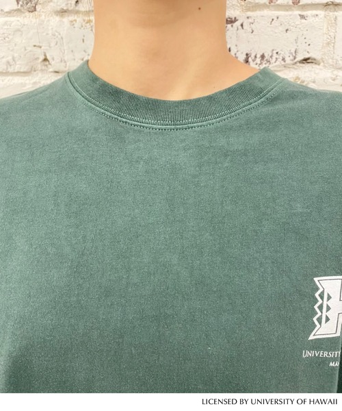 GOOD ROCK SPEED(グッドロックスピード)の「HAWAII TEE(Tシャツ/カットソー・レディース・グリーン・FREE)」の7枚目の写真