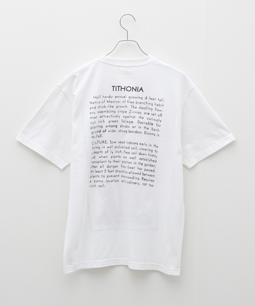 CORNICHE（コーニッシュ）の「niche. Flower Seeds T-Shirts　HS24- JAC-01（Tシャツ/カットソー・メンズ・ホワイト・MEDIUM）」の2枚目の写真