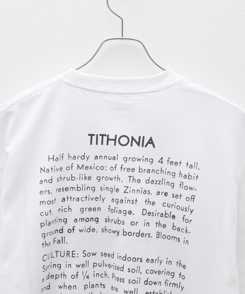 CORNICHE（コーニッシュ）の「niche. Flower Seeds T-Shirts　HS24- JAC-01（Tシャツ/カットソー・メンズ・ホワイト・MEDIUM）」の4枚目の写真