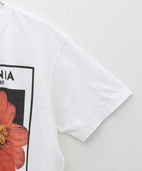 CORNICHE（コーニッシュ）の「niche. Flower Seeds T-Shirts　HS24- JAC-01（Tシャツ/カットソー・メンズ・ホワイト・MEDIUM）」の5枚目の写真