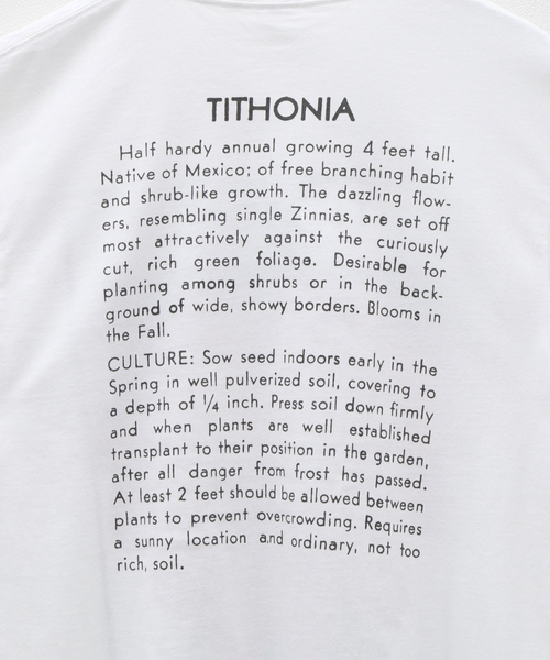 CORNICHE（コーニッシュ）の「niche. Flower Seeds T-Shirts　HS24- JAC-01（Tシャツ/カットソー・メンズ・ホワイト・MEDIUM）」の8枚目の写真