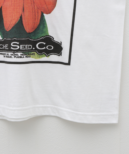 CORNICHE（コーニッシュ）の「niche. Flower Seeds T-Shirts　HS24- JAC-01（Tシャツ/カットソー・メンズ・ホワイト・MEDIUM）」の9枚目の写真