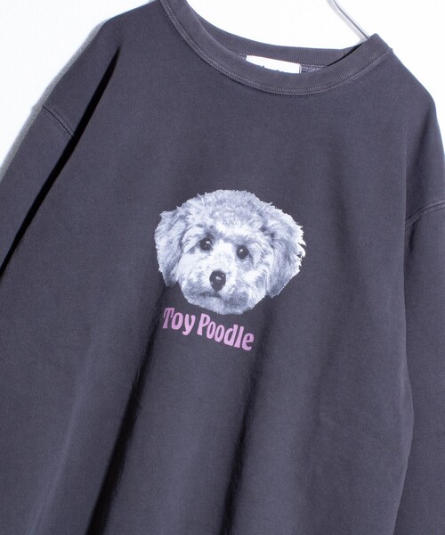 セール】【GLOSTER/グロスター】DOG&CAT 犬猫ピグメント クルーネック