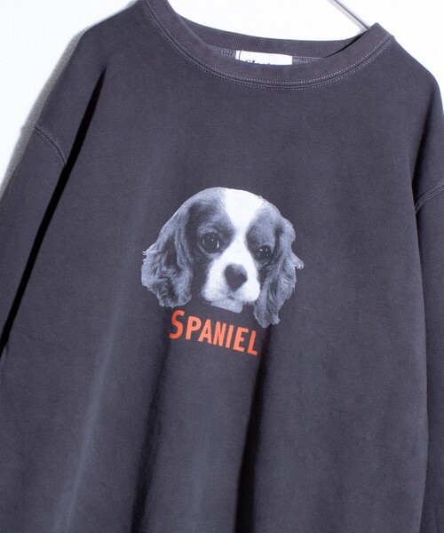 GLOSTER(グロスター)の「【GLOSTER/グロスター】DOG&CAT 犬猫ピグメント クルーネックスウェット(スウェット・メンズ・ブラック系その他3/ブラック系その他5/ブラック系その他/ブラック系その他6/ブラック系その他2/ブラック系その他4・S/M/L)」の5枚目の写真