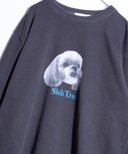 GLOSTER(グロスター)の「【GLOSTER/グロスター】DOG&CAT 犬猫ピグメント クルーネックスウェット(スウェット・メンズ・ブラック系その他3/ブラック系その他5/ブラック系その他/ブラック系その他6/ブラック系その他2/ブラック系その他4・S/M/L)」の6枚目の写真