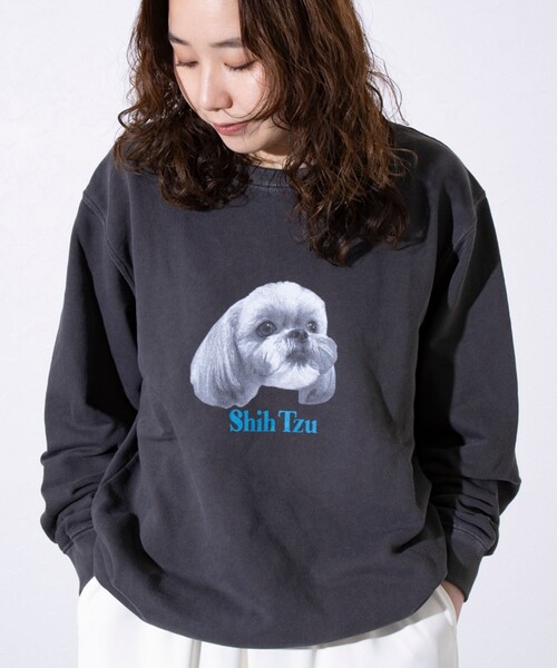 GLOSTER(グロスター)の「【GLOSTER/グロスター】DOG&CAT 犬猫ピグメント クルーネックスウェット(スウェット・メンズ・ブラック系その他3/ブラック系その他5/ブラック系その他/ブラック系その他6/ブラック系その他2/ブラック系その他4・S/M/L)」の19枚目の写真