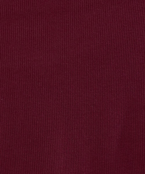 Ellno de Mavie(エルノデメヴィ)の「2wayコードネックリブT(Tシャツ/カットソー・レディース・ブラック/ボルドー・FREE)」の19枚目の写真