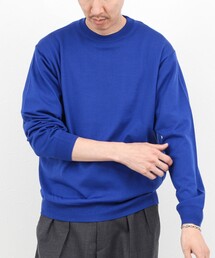 NOLLEY’S | ウォッシャブル クルーネックニット 25AW(ニット/セーター)
