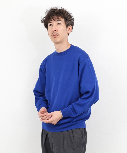 NOLLEY’S（ノーリーズ）の「ウォッシャブル クルーネックニット 25AW（ニット/セーター・メンズ・ロイヤルブルー/ネイビー/ベージュ/ブラック・M/L/S）」の9枚目の写真
