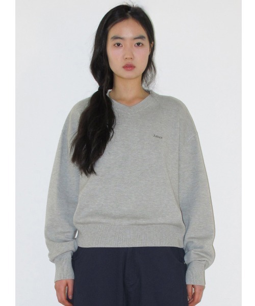 AMESWORLDWIDE（アメスワールドワイド）の「A'GEM/9 × .kom 『AMESWORLDWIDE/アメスワールドワイド』 BASIC V NECK KNIT/ベーシックVネックニット（ニット/セーター・レディース・ブルー/グレー/ライトブルー/グリーン・M/S）」の6枚目の写真