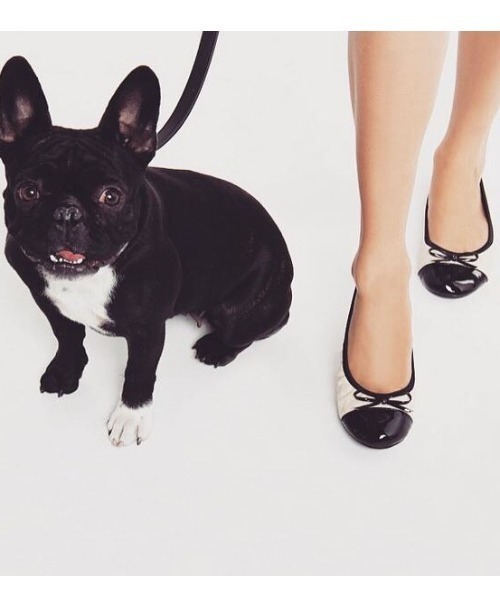 BUTTERFLY TWISTS（バタフライツイスト）の「ButterflyTwists OLIVIA バレエシューズ ラウンドトゥタイプ（パンプス・レディース・ブラック/クリーム・37/38/39/40/36）」の14枚目の写真