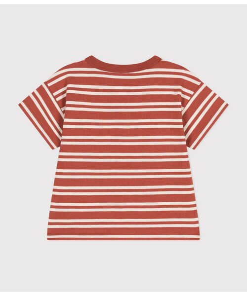 PETIT BATEAU（プチバトー）の「ボーダー半袖Ｔシャツ（Tシャツ/カットソー・キッズ・ブラウン系その他/グリーン系その他・12MONTH/24MONTH/36MONTH/18MONTH）」の3枚目の写真