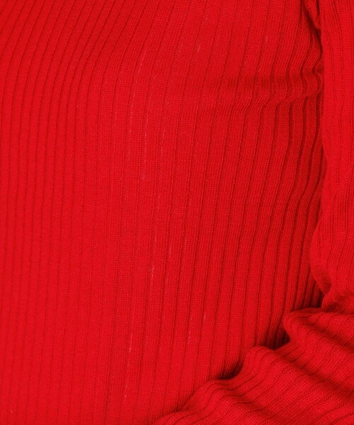 FREAK'S STORE(フリークスストア)の「【べストセラー】ウォッシャブル タートルネックニット(ニット/セーター・レディース・オフホワイト/グレー/レッド/ベージュ/ブラック・フリ-)」の21枚目の写真