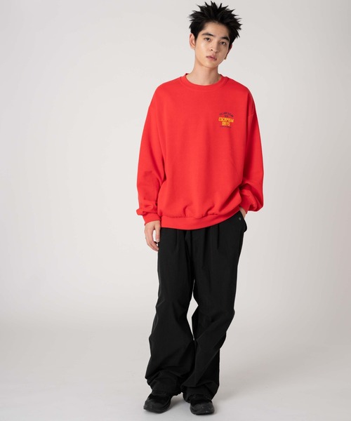 WEGO(ウィゴー)の「WEGO/アソートグラフィックプルオーバー(スウェット・メンズ・N/S/V/U/T/M/R/P/Q/O・LARGE/SMALL/MEDIUM)」の20枚目の写真