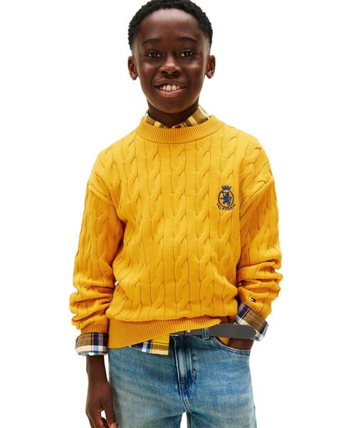TOMMY HILFIGER（トミーヒルフィガー）の「BOYS ケーブルクレストクルーネックセーター（ニット/セーター・キッズ・イエロー× ブルー/グリーン・130cm/140cm/150cm/160cm）」の2枚目の写真
