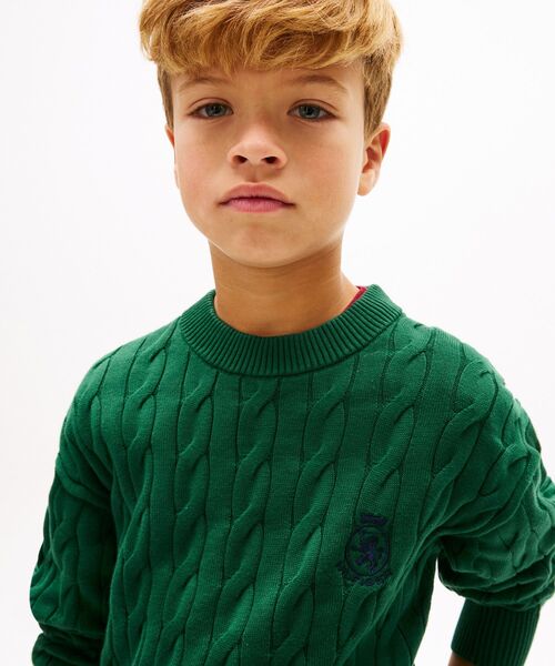 TOMMY HILFIGER（トミーヒルフィガー）の「BOYS ケーブルクレストクルーネックセーター（ニット/セーター・キッズ・イエロー× ブルー/グリーン・130cm/140cm/150cm/160cm）」の3枚目の写真