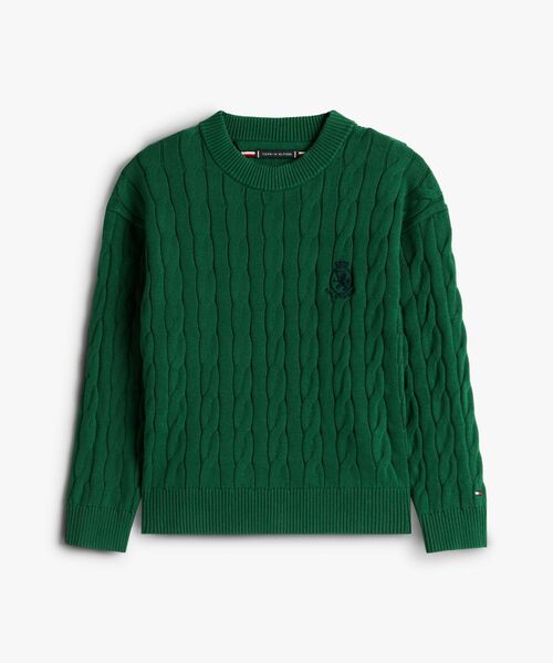 TOMMY HILFIGER（トミーヒルフィガー）の「BOYS ケーブルクレストクルーネックセーター（ニット/セーター・キッズ・イエロー× ブルー/グリーン・130cm/140cm/150cm/160cm）」の6枚目の写真