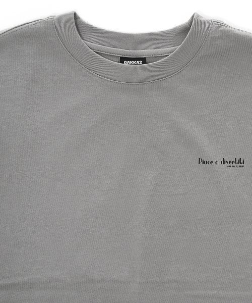 GAKKAI UNIONS(ガッカイユニオンズ)の「ピアチェ半袖Tシャツディープグレー(Tシャツ/カットソー・メンズ・その他・MEDIUM/LARGE)」の3枚目の写真