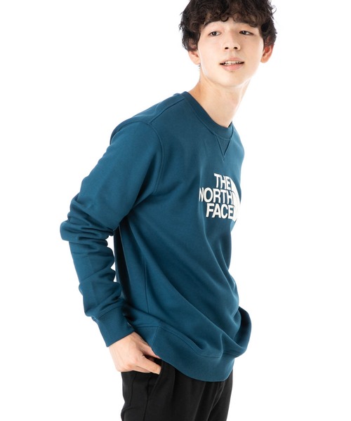 THE NORTH FACE（ザノースフェイス）の「ノースフェイス トレーナー スウェット トップス（スウェット・メンズ・ベージュ/グレー/ブラック/ブルー/ホワイト・XL/M/S/L/XXL）」の16枚目の写真