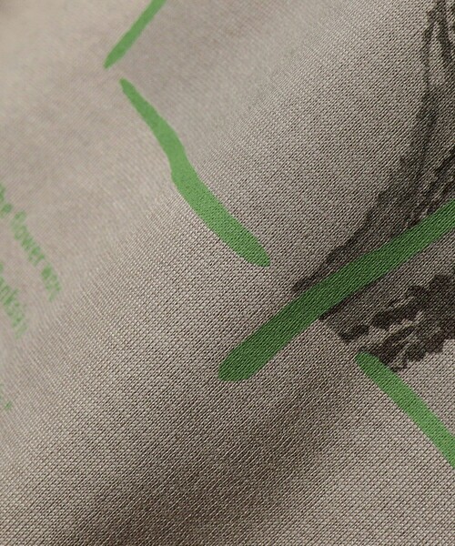 BEAMS LIGHTS(ビームスライツ)の「BEAMS LIGHTS / フラワーフォト プリント Tシャツ23(Tシャツ/カットソー・メンズ・グレー/ブラウン系その他2/ホワイト/ネイビー・SMALL/MEDIUM/LARGE)」の12枚目の写真