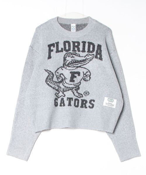 90年代 スポーツ Hanes FLORIDA GATORS カレッジスウェット