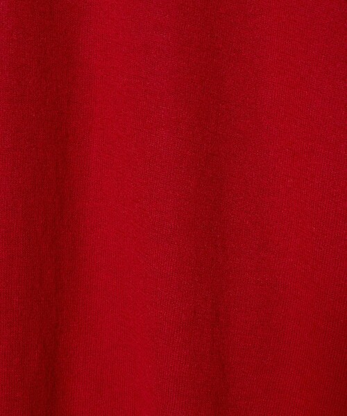 UNITED ARROWS（ユナイテッドアローズ）の「カシミヤ ハイゲージ クルーネックニット（ニット/セーター・メンズ・グレー系/ライトブルー/レッド・XL/L/M/S）」の14枚目の写真