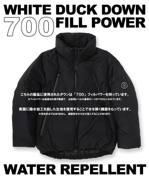 DRESSTERIOR（ドレステリア）の「【700フィルパワー/高品質ダウン】ファンクショナル ハイネックダウン（ダウンジャケット/コート・レディース・ブラック・92/91/90）」の2枚目の写真