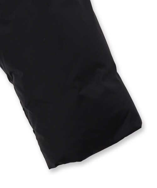 DRESSTERIOR（ドレステリア）の「【700フィルパワー/高品質ダウン】ファンクショナル ハイネックダウン（ダウンジャケット/コート・レディース・ブラック・92/91/90）」の21枚目の写真