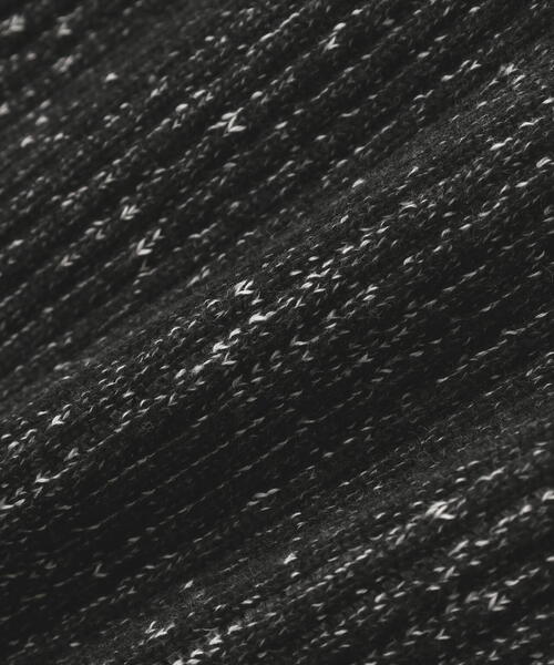 SIS（エスアイエス）の「SIS/エスアイエス/Rib Zip Hoodie（パーカー・レディース・ブラック/グレー・F）」の16枚目の写真