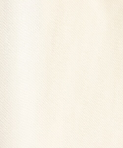 OPAQUE.CLIP（オペークドットクリップ）の「◆T/Cツイル フレアスカート【WEB限定サイズ】（スカート・レディース・サンドベージュ/ホワイト系・40/38/42）」の4枚目の写真