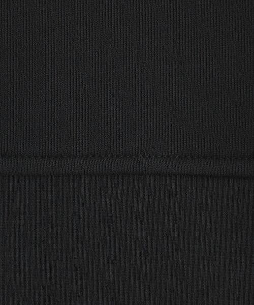 green label relaxing（グリーンレーベルリラクシング）の「GIZA ウラキモウ ハイネック プルオーバー カットソー（スウェット・レディース・ライトブルー/ホワイト/ブラック・FREE）」の20枚目の写真