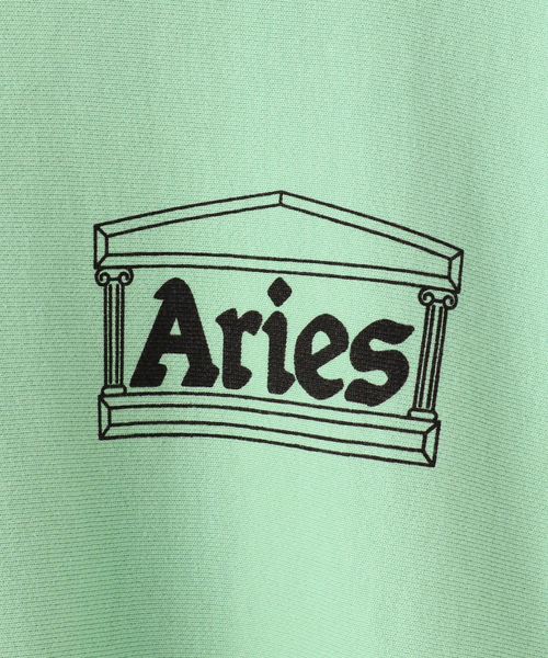ARIES（アリーズ）の「【ARIES / アリーズ】PREMIUM TEMPLE SWEATSHIRT（スウェット・メンズ・ベージュ/グリーン系その他・MEDIUM/LARGE）」の12枚目の写真