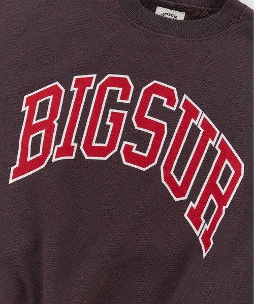 Ocean&Ground（オーシャン&グラウンド）の「ｶﾚｯｼﾞﾛｺﾞｽｳｪｯﾄ（スウェット・キッズ・チャコール/ブルー系その他/ライトグレー/イエロー・110/100/90/80/140/130/120）」の20枚目の写真