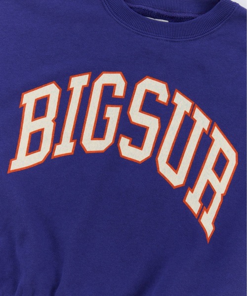 Ocean&Ground（オーシャン&グラウンド）の「ｶﾚｯｼﾞﾛｺﾞｽｳｪｯﾄ（スウェット・キッズ・チャコール/ブルー系その他/ライトグレー/イエロー・110/100/90/80/140/130/120）」の21枚目の写真