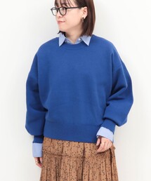 fredy couleur | スウェットライク クルーネックプルオーバーニット(ニット/セーター)