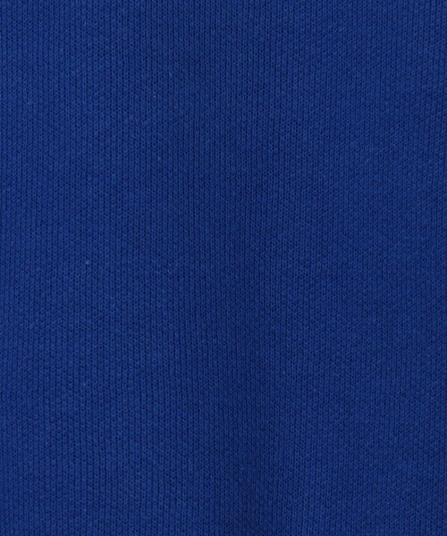 fredy couleur（フレディクルール）の「スウェットライク クルーネックプルオーバーニット（ニット/セーター・レディース・チャコールグレー/オフホワイト/ピンク/ブラウン/ロイヤルブルー・38）」の7枚目の写真