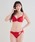 Absorle�i�A�u�\�[���j�́u�V�t�H���P�~�J���@�u��&�V���[�c&T�o�b�N3�_�Z�b�g�i�u��&�V���[�c�j�v�b���b�h