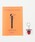 TOKYO CULTUART by BEAMS�i�g�E�L���E�J���`���[�g�o�C�r�[���X�j�́unorahi / AFTERLIFE DOGS�i�{�j�v�b���̑�