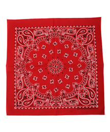 BEAUTY&YOUTH UNITED ARROWS | ＜Hav-A-Hank＞PaisleyBANDANA(バンダナ/スカーフ)