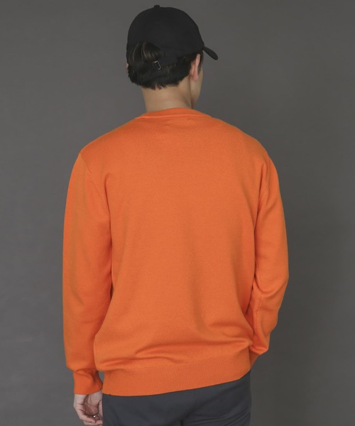 SENSE OF PLACE by URBAN RESEARCH（センスオブプレイスバイアーバンリサーチ）の「シシュウストレッチクルーネックセーター（ニット/セーター・メンズ・グリーン/オレンジ/ブラック/ブラウン/ブルー/ホワイト系その他/アイボリー・MEDIUM/LARGE）」の10枚目の写真