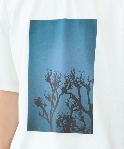 BEAMS LIGHTS(ビームスライツ)の「BEAMS LIGHTS / LUXUAL フォト Tシャツ23(Tシャツ/カットソー・メンズ・ホワイト系その他2/ホワイト・SMALL/MEDIUM/LARGE)」の14枚目の写真