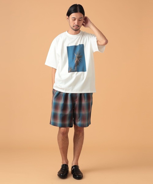 BEAMS LIGHTS(ビームスライツ)の「BEAMS LIGHTS / LUXUAL フォト Tシャツ23(Tシャツ/カットソー・メンズ・ホワイト系その他2/ホワイト・SMALL/MEDIUM/LARGE)」の21枚目の写真