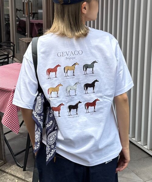 GEVACO(ゲバコ)の「【GEVACO】グラフィック馬図鑑半袖TEE(Tシャツ/カットソー・レディース・アイボリー/ネイビー/ホワイト・SMALL/MEDIUM/LARGE)」の1枚目の写真