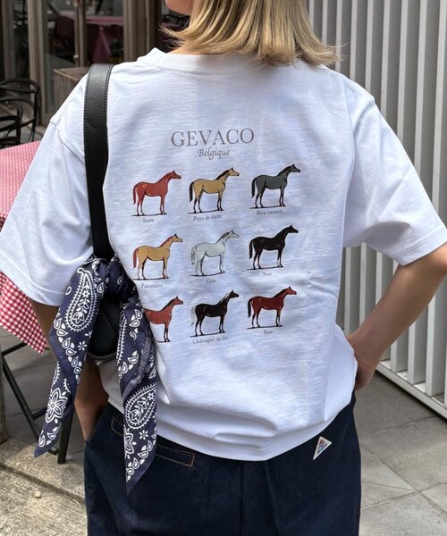 GEVACO(ゲバコ)の「【GEVACO】グラフィック馬図鑑半袖TEE(Tシャツ/カットソー・レディース・アイボリー/ネイビー/ホワイト・SMALL/MEDIUM/LARGE)」の4枚目の写真