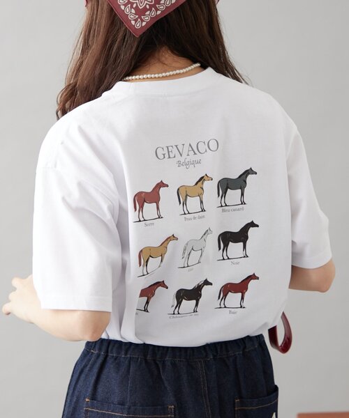 GEVACO(ゲバコ)の「【GEVACO】グラフィック馬図鑑半袖TEE(Tシャツ/カットソー・レディース・アイボリー/ネイビー/ホワイト・SMALL/MEDIUM/LARGE)」の13枚目の写真