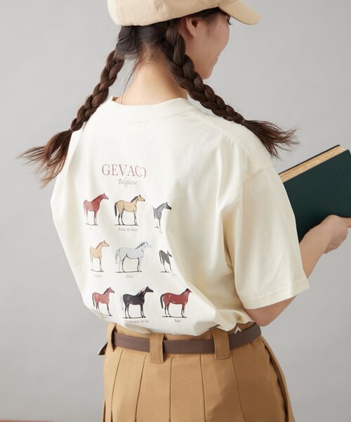 GEVACO(ゲバコ)の「【GEVACO】グラフィック馬図鑑半袖TEE(Tシャツ/カットソー・レディース・アイボリー/ネイビー/ホワイト・SMALL/MEDIUM/LARGE)」の22枚目の写真