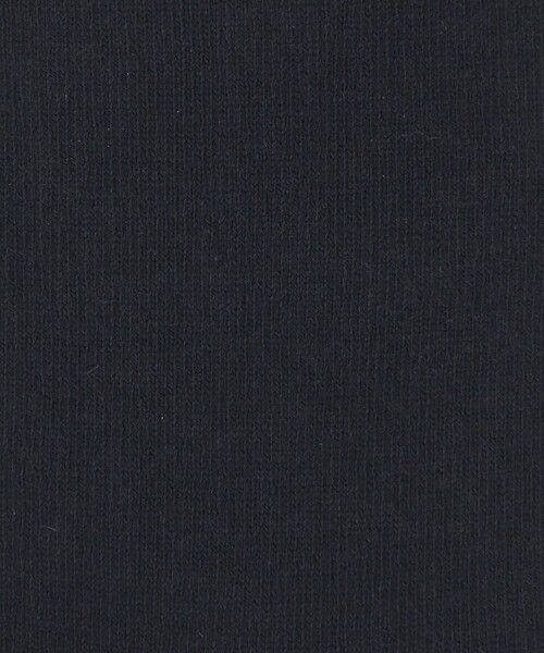 FALKE（ファルケ）の「＜FALKE＞FAMILY SOCKS/ファミリーソックス（ソックス/靴下・メンズ・ダークブラウン/パープル/ダークグレー/ネイビー/ケリーグリーン/ロイヤルブルー/レッド・39-42）」の20枚目の写真