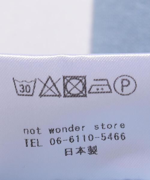 wonderland（ワンダーランド）の「＜wonderland＞ RINGER TEE/Tシャツ（Tシャツ/カットソー・メンズ・ダークグリーン/ライトブルー・1/2）」の13枚目の写真
